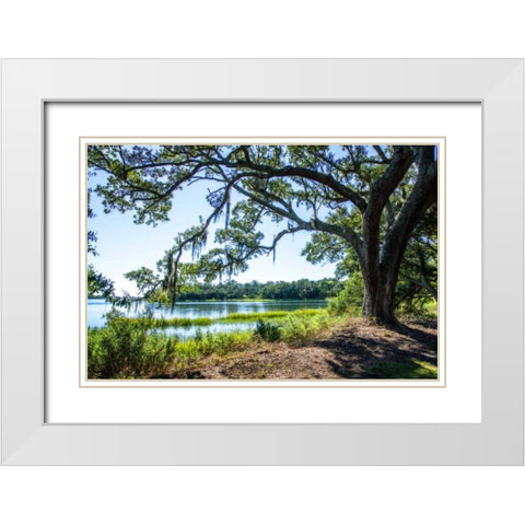 Bradley Creek II White Modern Wood Framed Art Print with Double Matting by Hausenflock, Alan