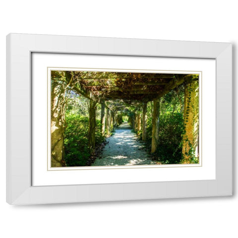 An Arbored Pathway White Modern Wood Framed Art Print with Double Matting by Hausenflock, Alan