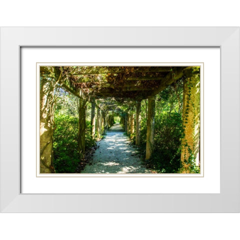 An Arbored Pathway White Modern Wood Framed Art Print with Double Matting by Hausenflock, Alan