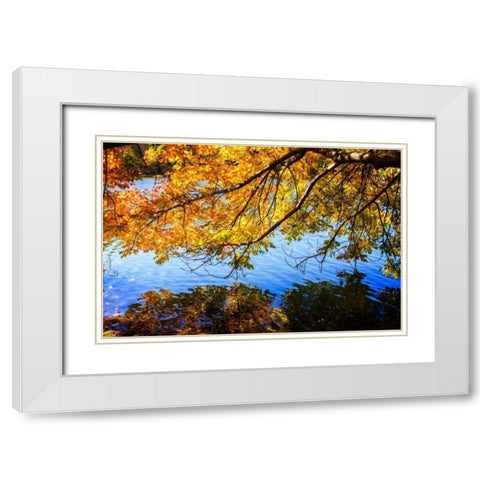 Autumn Reflections I White Modern Wood Framed Art Print with Double Matting by Hausenflock, Alan