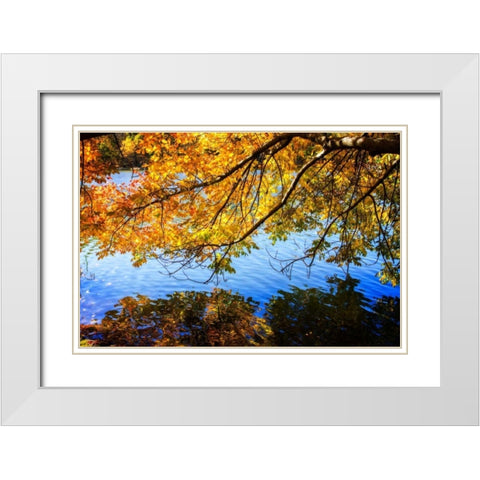 Autumn Reflections I White Modern Wood Framed Art Print with Double Matting by Hausenflock, Alan