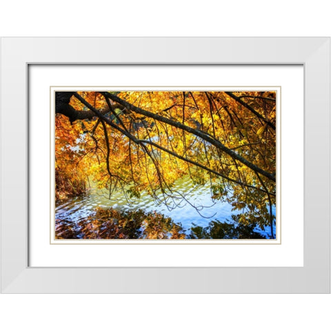 Autumn Reflections II White Modern Wood Framed Art Print with Double Matting by Hausenflock, Alan