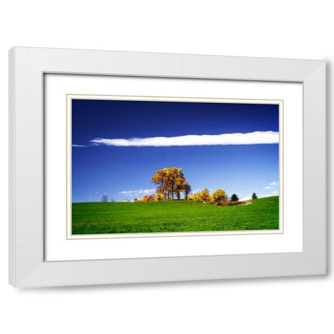 Meadows of Dan I White Modern Wood Framed Art Print with Double Matting by Hausenflock, Alan