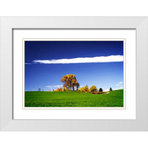 Meadows of Dan I White Modern Wood Framed Art Print with Double Matting by Hausenflock, Alan
