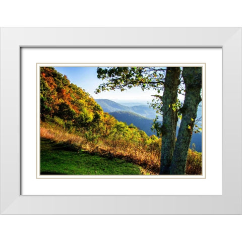 Approaching Autumn I White Modern Wood Framed Art Print with Double Matting by Hausenflock, Alan