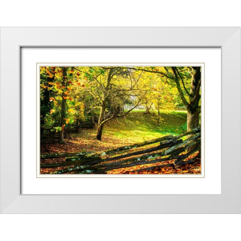 Backyard Color II White Modern Wood Framed Art Print with Double Matting by Hausenflock, Alan