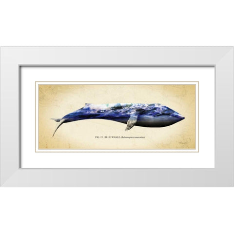 Blue Whale White Modern Wood Framed Art Print with Double Matting by Hausenflock, Alan