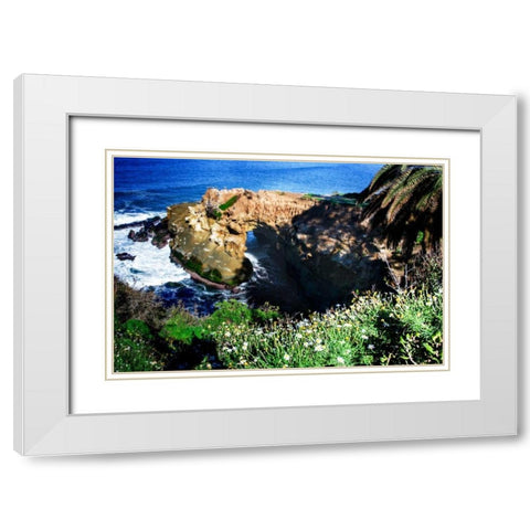 Goldfish Point I White Modern Wood Framed Art Print with Double Matting by Hausenflock, Alan