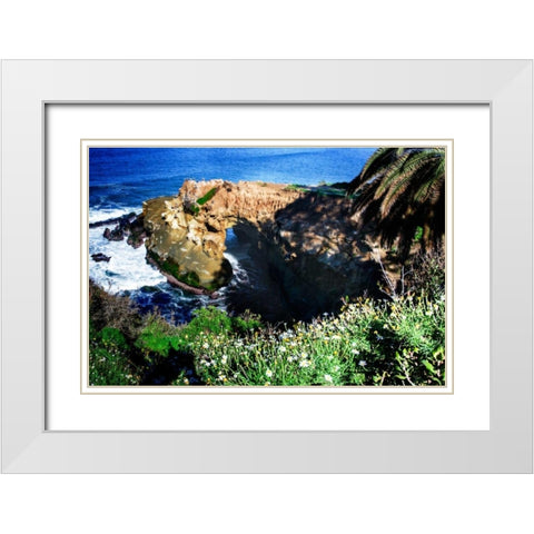 Goldfish Point I White Modern Wood Framed Art Print with Double Matting by Hausenflock, Alan