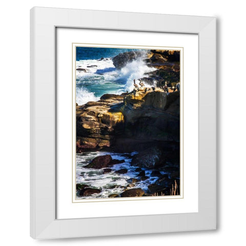 La Jolla Pelicans I White Modern Wood Framed Art Print with Double Matting by Hausenflock, Alan