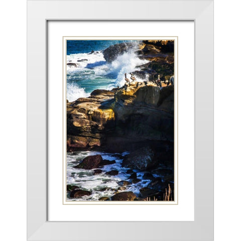 La Jolla Pelicans I White Modern Wood Framed Art Print with Double Matting by Hausenflock, Alan