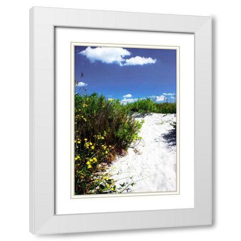 A Sandy Pathway I White Modern Wood Framed Art Print with Double Matting by Hausenflock, Alan