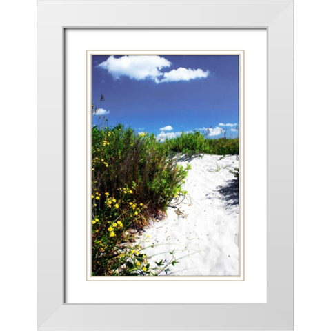 A Sandy Pathway I White Modern Wood Framed Art Print with Double Matting by Hausenflock, Alan