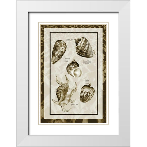 Sand and Shells I White Modern Wood Framed Art Print with Double Matting by Hausenflock, Alan
