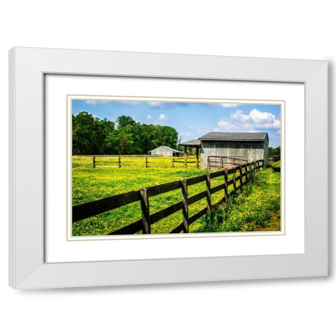Spring Pasture II White Modern Wood Framed Art Print with Double Matting by Hausenflock, Alan