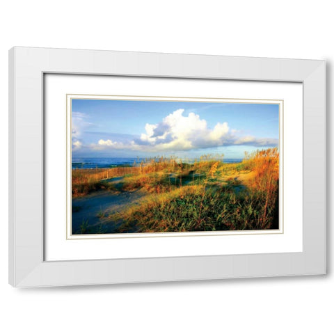 Dunes II White Modern Wood Framed Art Print with Double Matting by Hausenflock, Alan