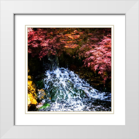 Gentle Waterfall I White Modern Wood Framed Art Print with Double Matting by Hausenflock, Alan