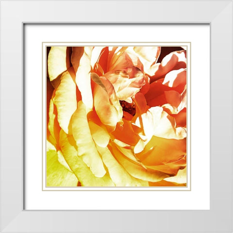 Bicolored Angel II White Modern Wood Framed Art Print with Double Matting by Hausenflock, Alan