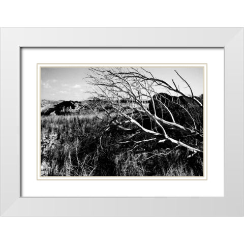 Bear Island II White Modern Wood Framed Art Print with Double Matting by Hausenflock, Alan