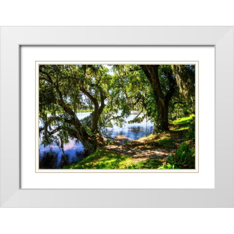 Ashley River Bank I White Modern Wood Framed Art Print with Double Matting by Hausenflock, Alan