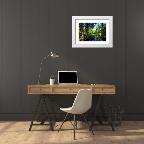Cypress Pond II White Modern Wood Framed Art Print with Double Matting by Hausenflock, Alan