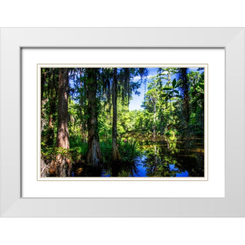 Cypress Pond II White Modern Wood Framed Art Print with Double Matting by Hausenflock, Alan