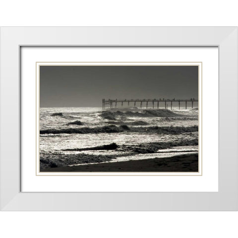 Silver Sea I White Modern Wood Framed Art Print with Double Matting by Hausenflock, Alan