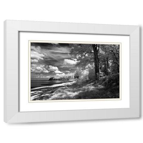 Tappahannock Shores II White Modern Wood Framed Art Print with Double Matting by Hausenflock, Alan