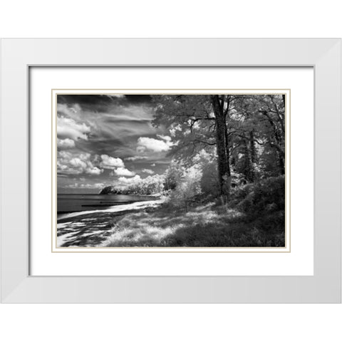 Tappahannock Shores II White Modern Wood Framed Art Print with Double Matting by Hausenflock, Alan