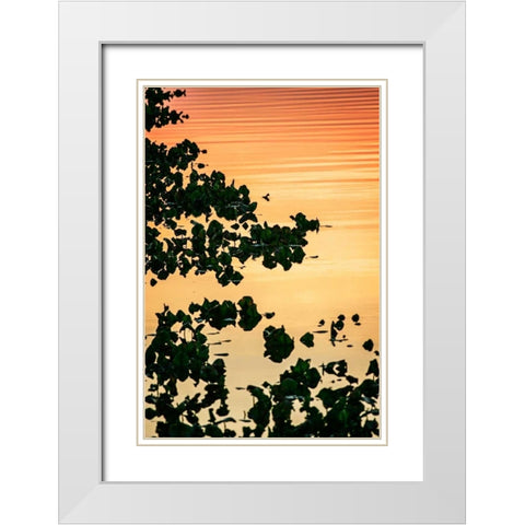 River at Twilight II White Modern Wood Framed Art Print with Double Matting by Hausenflock, Alan