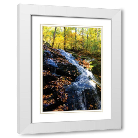 Autumn Waterfall I White Modern Wood Framed Art Print with Double Matting by Hausenflock, Alan