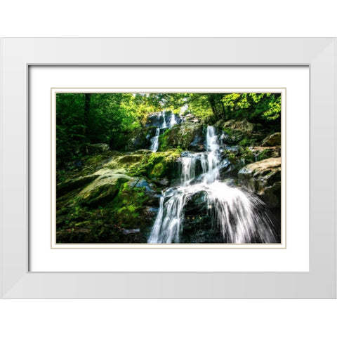 Dark Hollow Falls I White Modern Wood Framed Art Print with Double Matting by Hausenflock, Alan