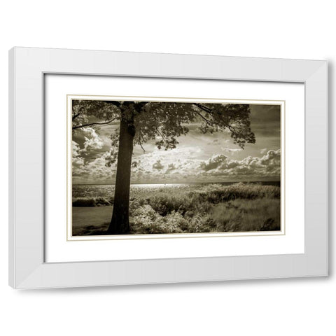 Cobb Island Afternoon I White Modern Wood Framed Art Print with Double Matting by Hausenflock, Alan