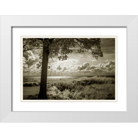 Cobb Island Afternoon I White Modern Wood Framed Art Print with Double Matting by Hausenflock, Alan