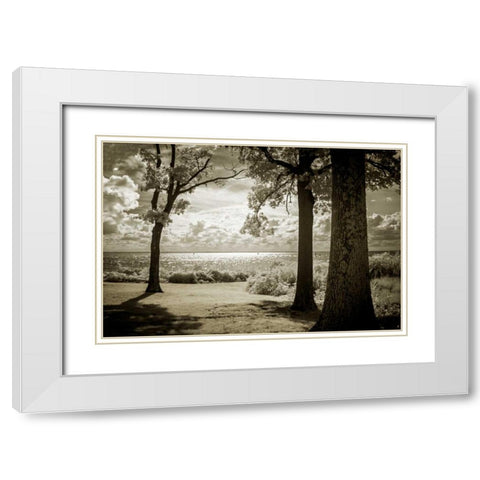 Cobb Island Afternoon II White Modern Wood Framed Art Print with Double Matting by Hausenflock, Alan