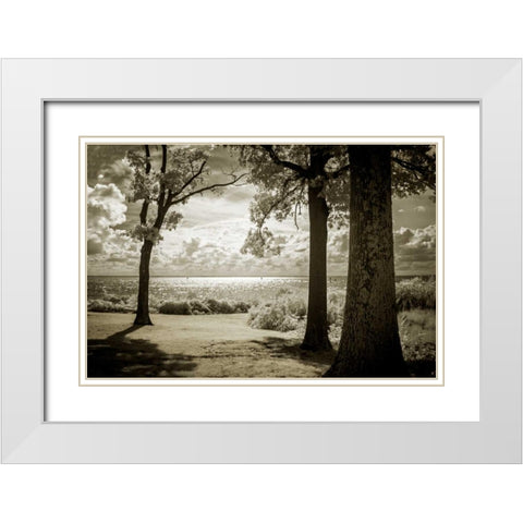 Cobb Island Afternoon II White Modern Wood Framed Art Print with Double Matting by Hausenflock, Alan