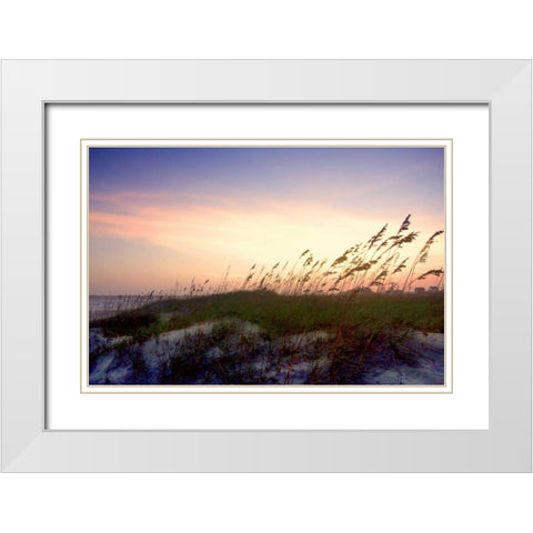 Rosey Sunset II White Modern Wood Framed Art Print with Double Matting by Hausenflock, Alan