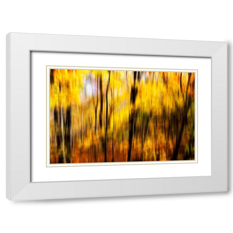 Autumn Impressions I White Modern Wood Framed Art Print with Double Matting by Hausenflock, Alan