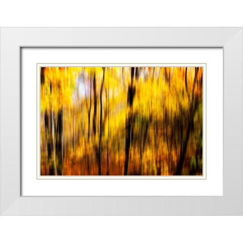 Autumn Impressions I White Modern Wood Framed Art Print with Double Matting by Hausenflock, Alan