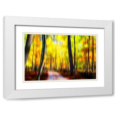 Autumn Impressions III White Modern Wood Framed Art Print with Double Matting by Hausenflock, Alan