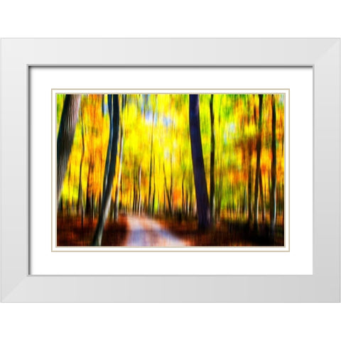 Autumn Impressions III White Modern Wood Framed Art Print with Double Matting by Hausenflock, Alan