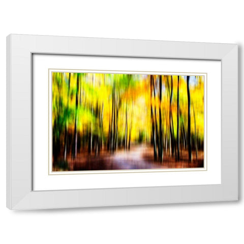 Autumn Impressions IV White Modern Wood Framed Art Print with Double Matting by Hausenflock, Alan