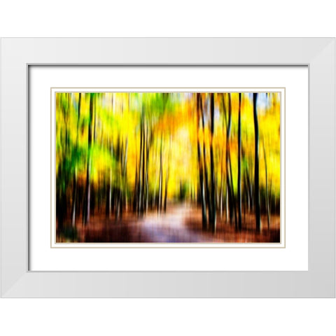 Autumn Impressions IV White Modern Wood Framed Art Print with Double Matting by Hausenflock, Alan