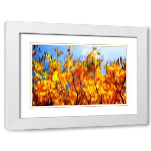 Autumn Impressions VI White Modern Wood Framed Art Print with Double Matting by Hausenflock, Alan