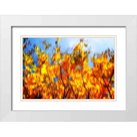 Autumn Impressions VI White Modern Wood Framed Art Print with Double Matting by Hausenflock, Alan