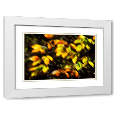 Autumn Impressions VIII White Modern Wood Framed Art Print with Double Matting by Hausenflock, Alan