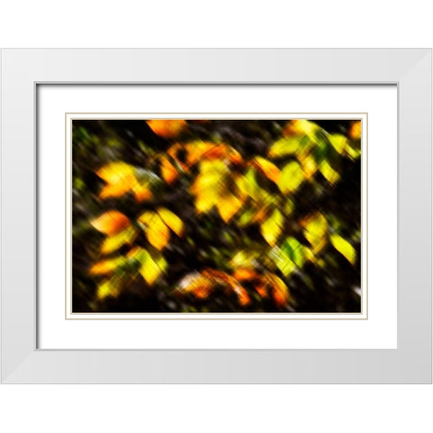 Autumn Impressions VIII White Modern Wood Framed Art Print with Double Matting by Hausenflock, Alan