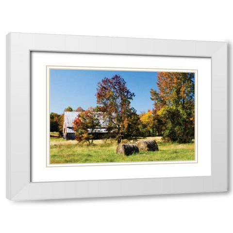 Autumn Scene I White Modern Wood Framed Art Print with Double Matting by Hausenflock, Alan