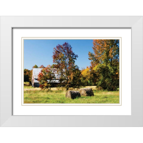 Autumn Scene I White Modern Wood Framed Art Print with Double Matting by Hausenflock, Alan