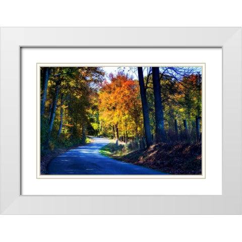 Twisting Autumn Road I White Modern Wood Framed Art Print with Double Matting by Hausenflock, Alan
